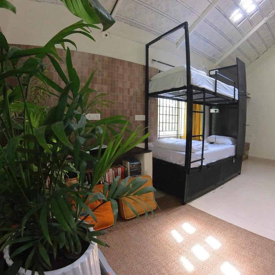 Benomadic Eco Hostel, Madikeri, Coorg Suntikoppa Esterno foto