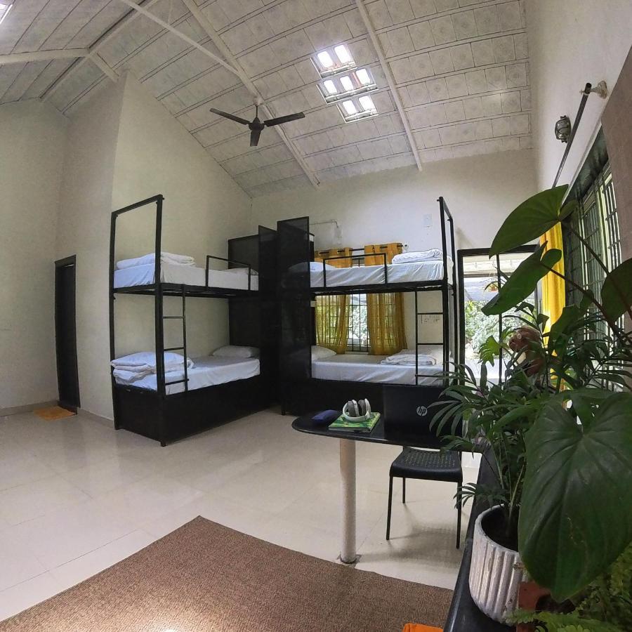 Benomadic Eco Hostel, Madikeri, Coorg Suntikoppa Esterno foto
