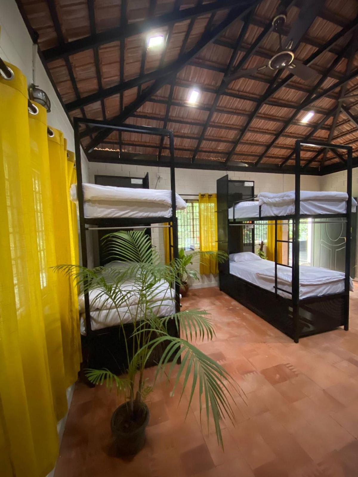 Benomadic Eco Hostel, Madikeri, Coorg Suntikoppa Esterno foto