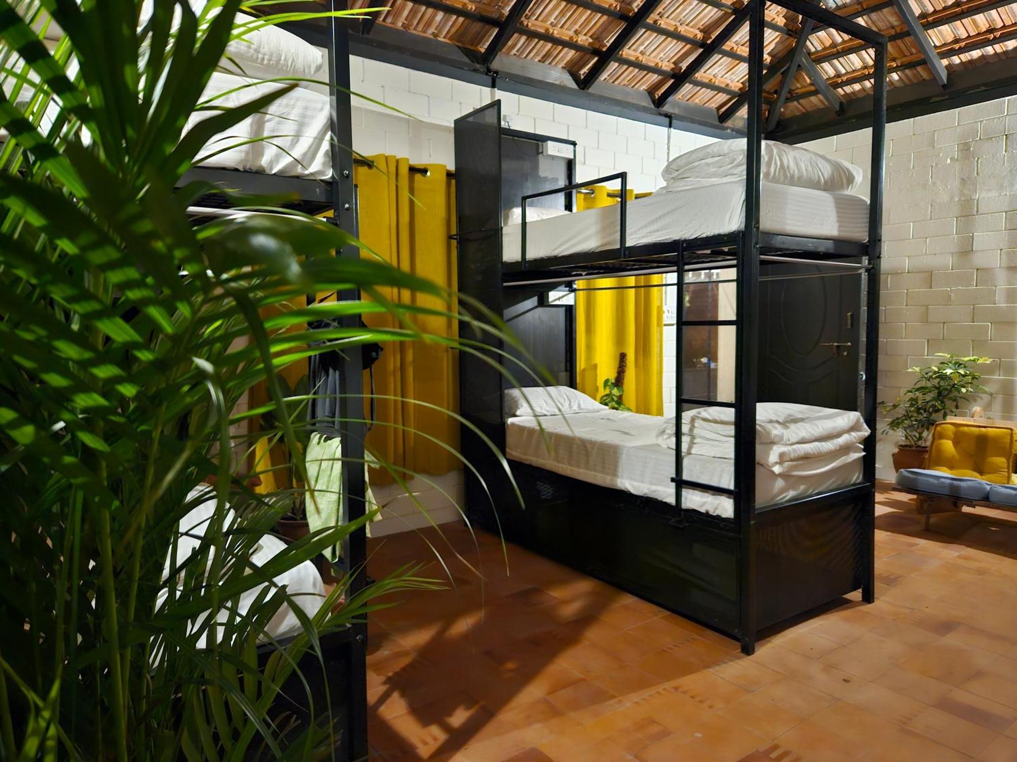 Benomadic Eco Hostel, Madikeri, Coorg Suntikoppa Esterno foto